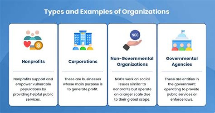 What are three examples of organizations?