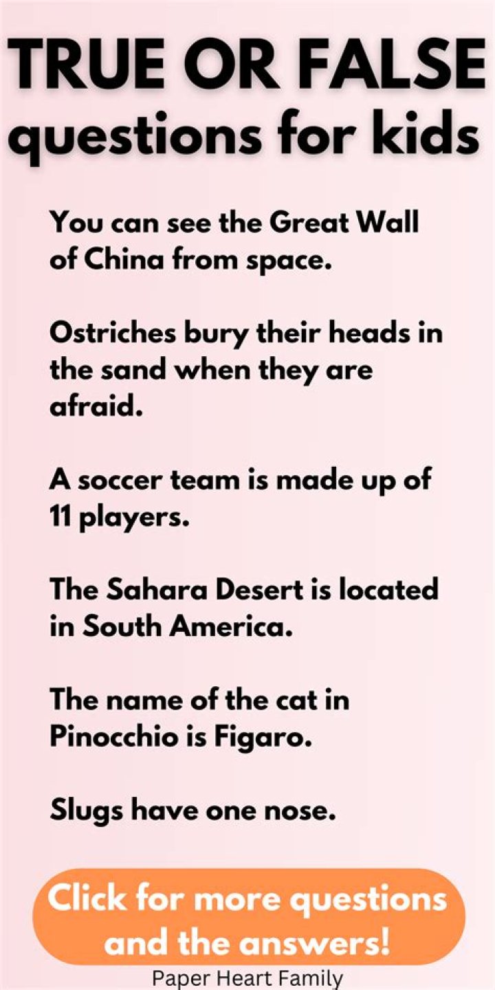 What are true/false questions?