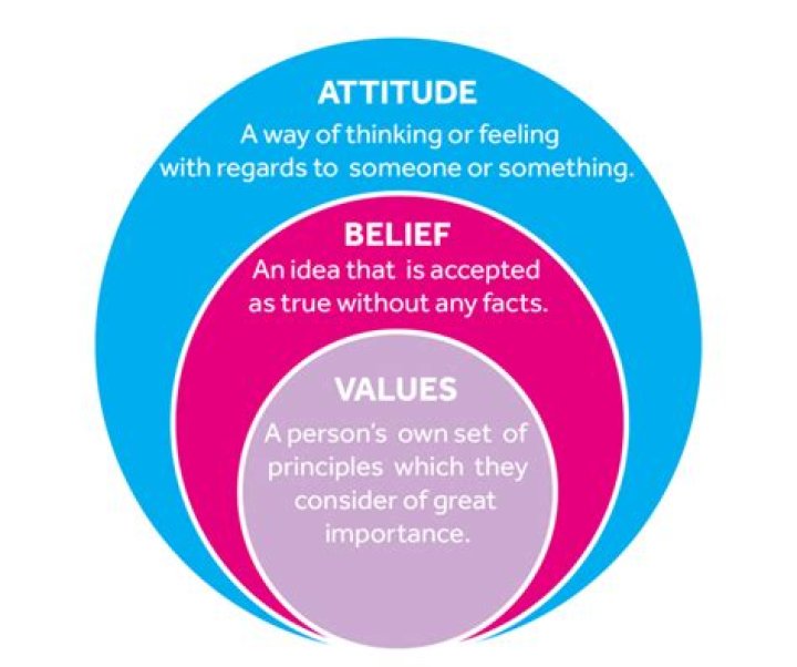 What are values attitudes?