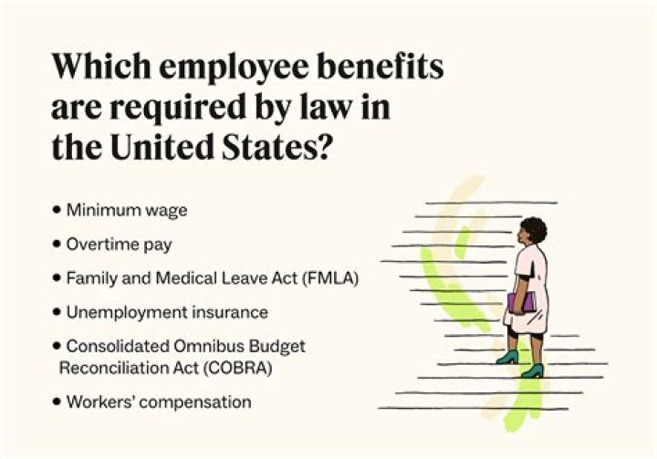 What benefits are employers with 50+ employees required by law to provide in the United States?