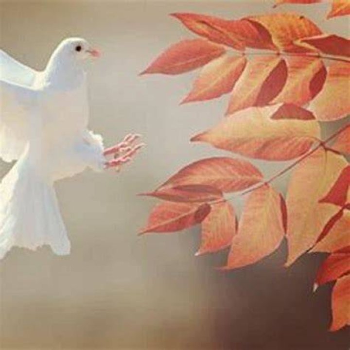 What bird is most mentioned in the Bible?
