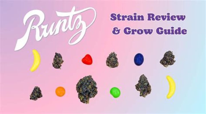 What brand is runtz?