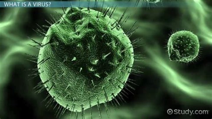 What careers study viruses?