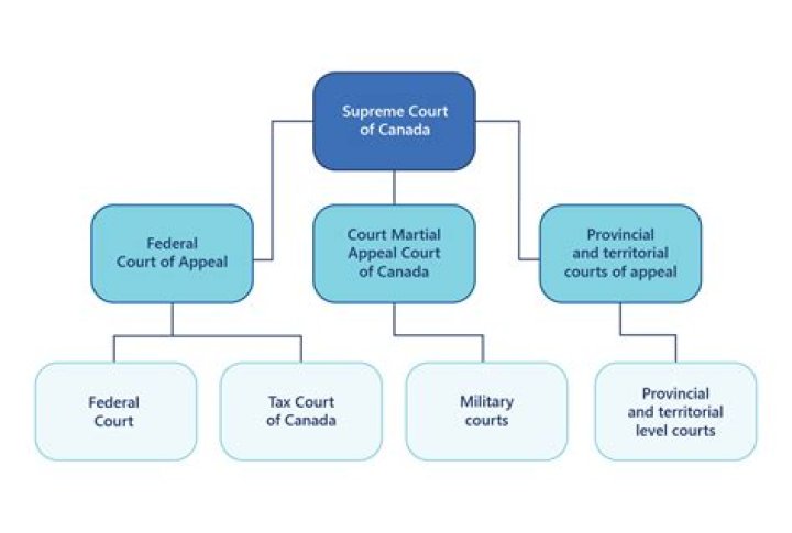 What cases does the Tax Court of Canada hear?