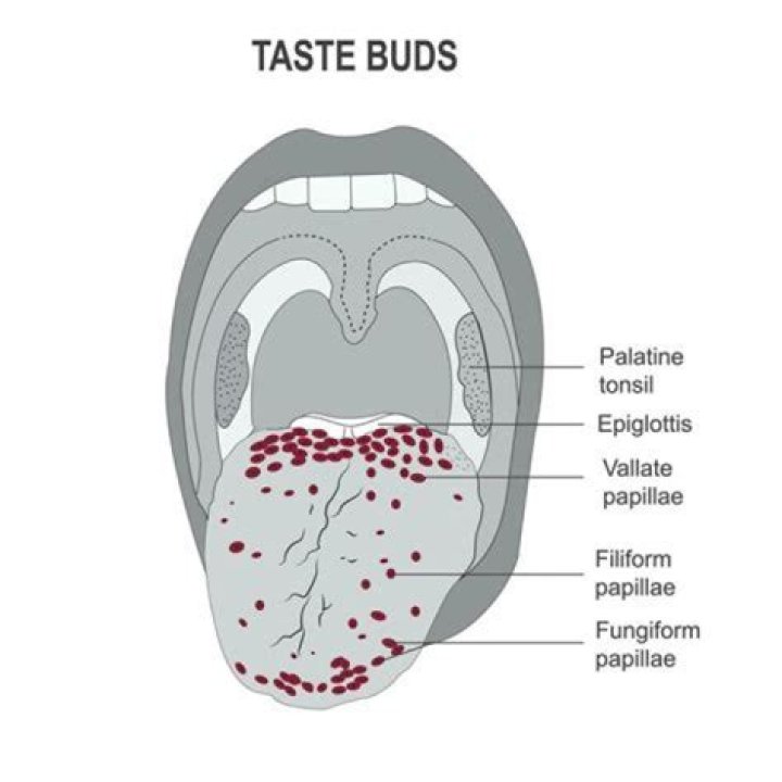 What causes enlarged taste buds on back of tongue?