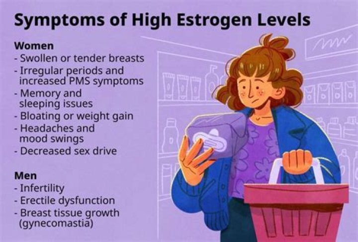 What causes high estrogen levels?