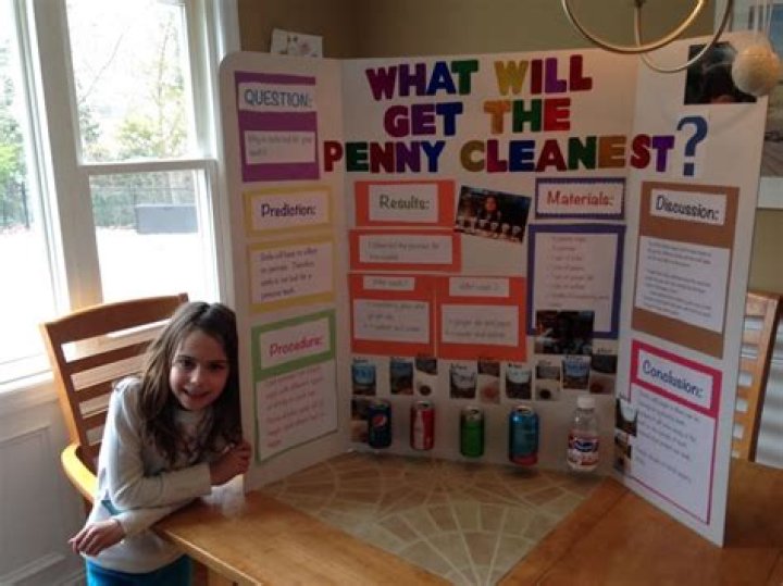 What cleans a penny best science project?