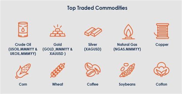 What commodities are traded in the commodity market?