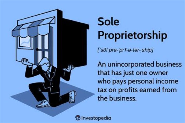 What companies are sole proprietorships?
