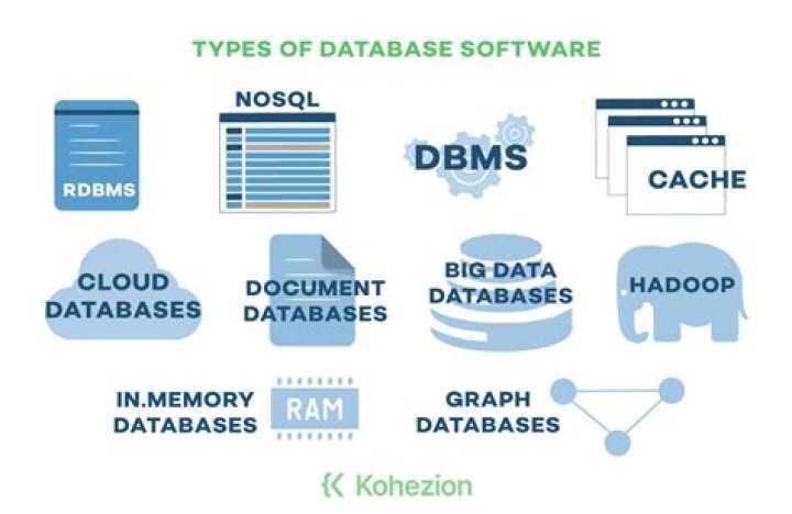 What databases are saved on paper?