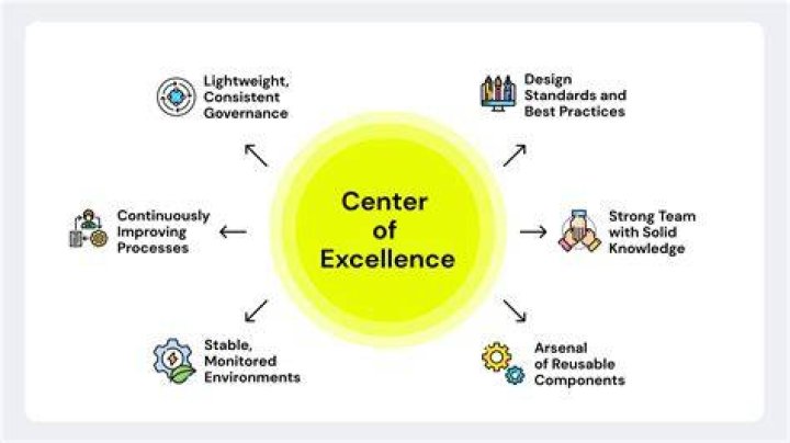 What defines a center of excellence?