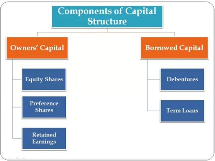 What determines the capital structure of firms?