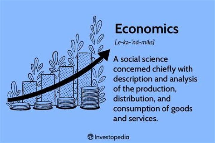 What do experts use economics for?