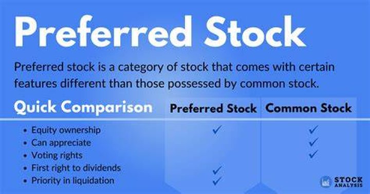 What do preferred stock mean?