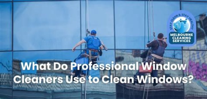 What do professional window cleaners use to clean windows?