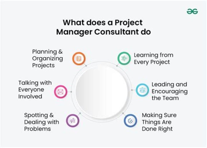 What do project management consultants do?
