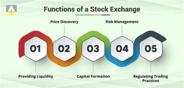 What do stock exchanges facilitate?