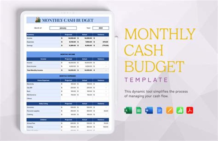 What do you look for in a cash budget?
