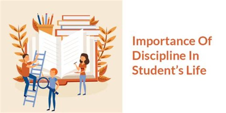 What do you think are the most important qualities in a fraud investigator?