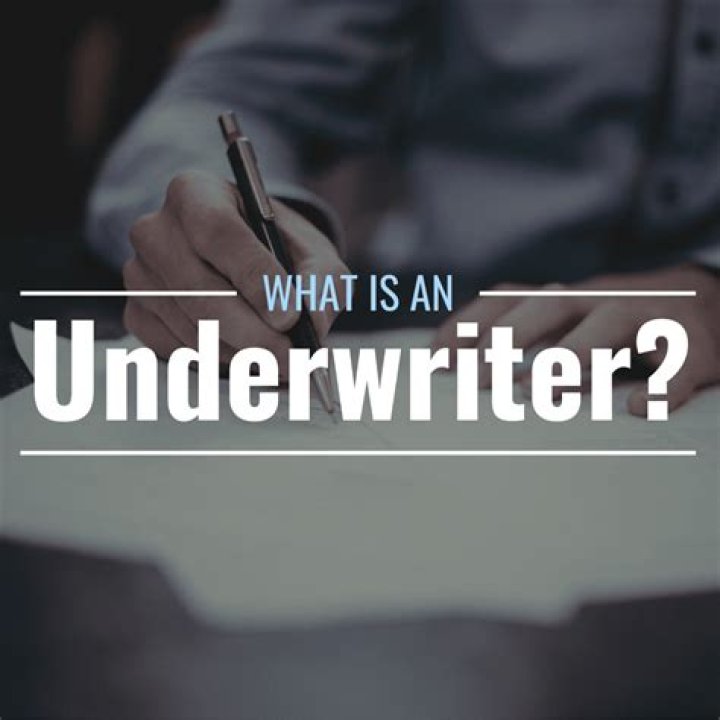 What does an underwriter in an IPO do?