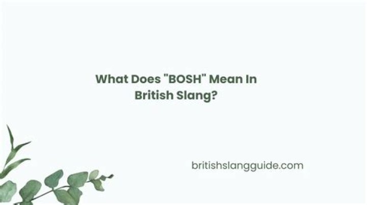 What does bum mean in British slang?
