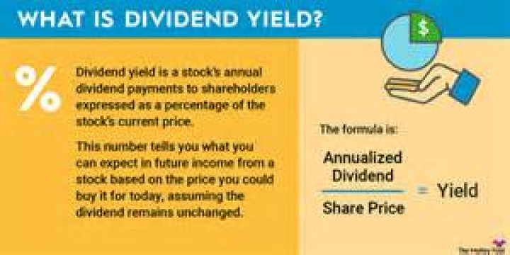What does dividend yield mean to an investor?