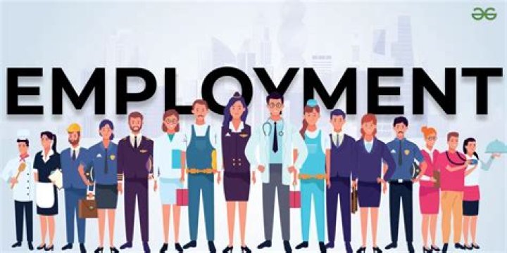 What does employment year mean?
