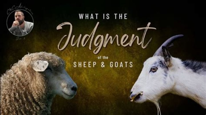What does it mean to use your best Judgement?