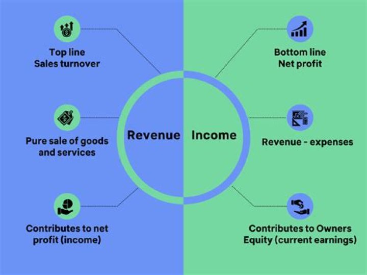 What does negative revenue mean?
