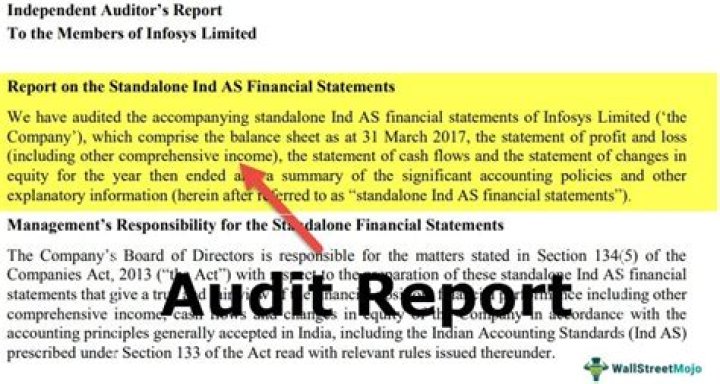What does Qualified mean in an audit report?