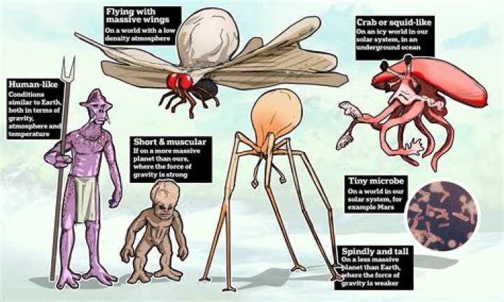 What does realistically mean?