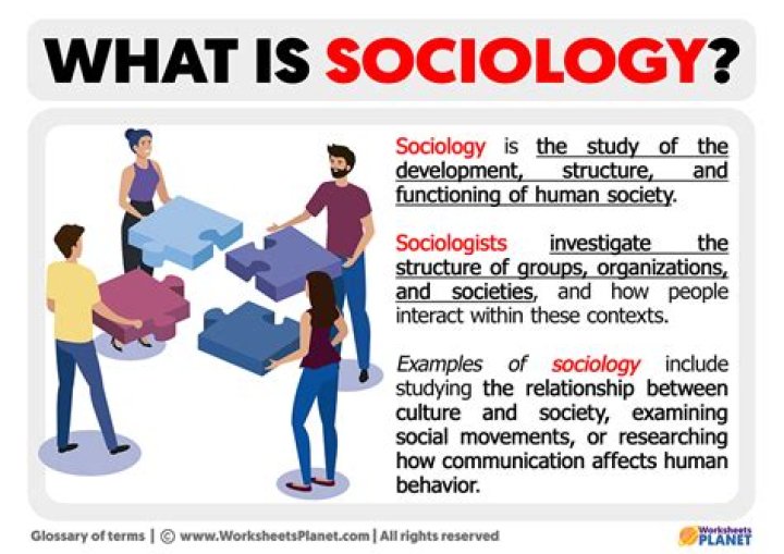 What does sociologist look for?