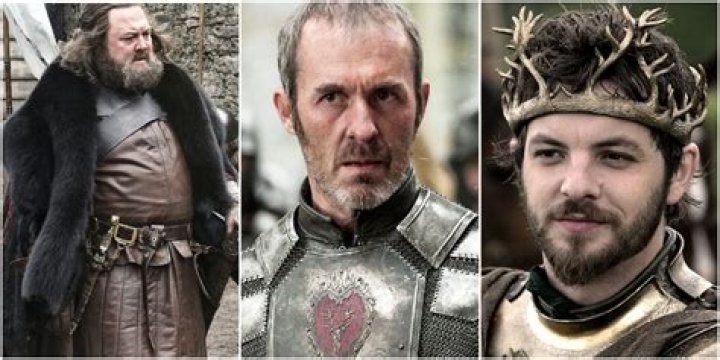 What does stannis see in the fire?