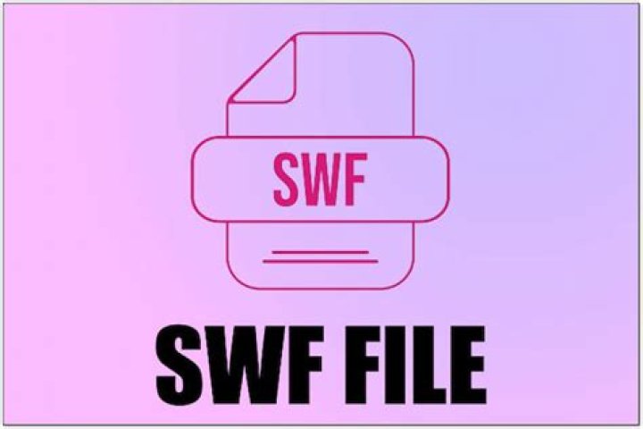 What does SWF stand for?