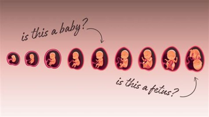 What does yelling do to an unborn baby?