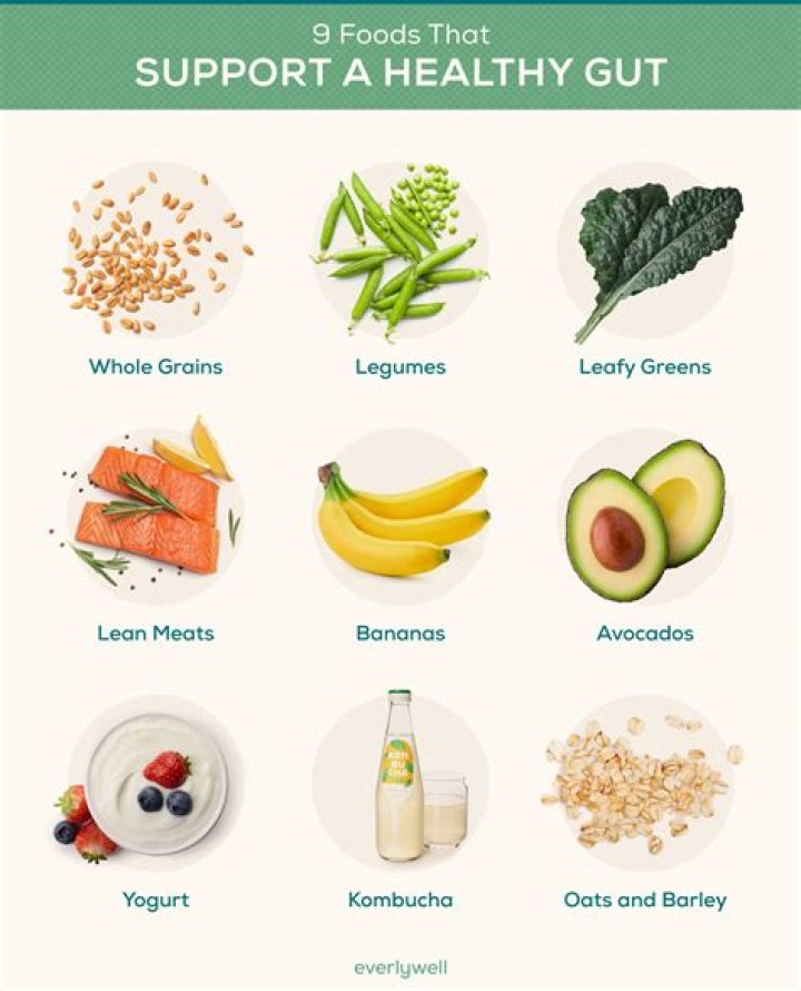 What foods repair gut health?