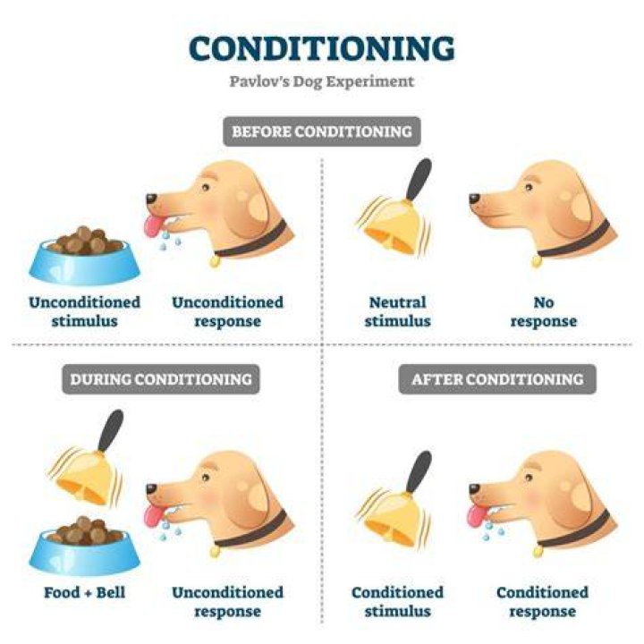 What happens during conditioning?