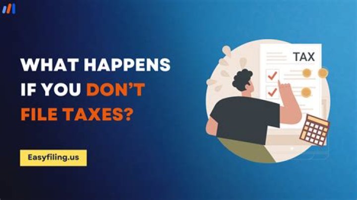 What happens if you file your taxes incorrectly?
