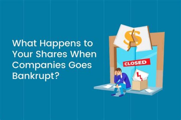 What happens to shareholders if a company goes bankrupt?