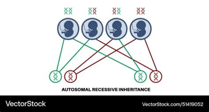 What happens when a child inherits a 401k?
