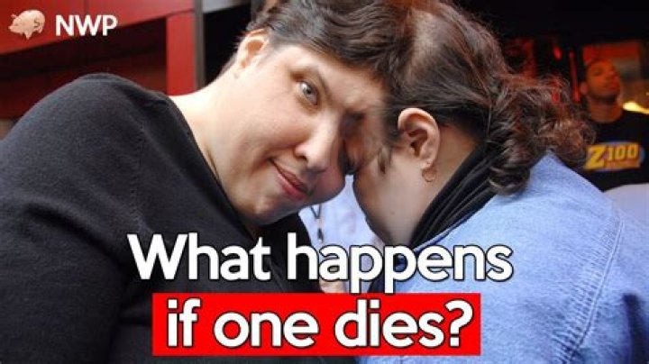 What happens when two people jointly own property and one of them dies?