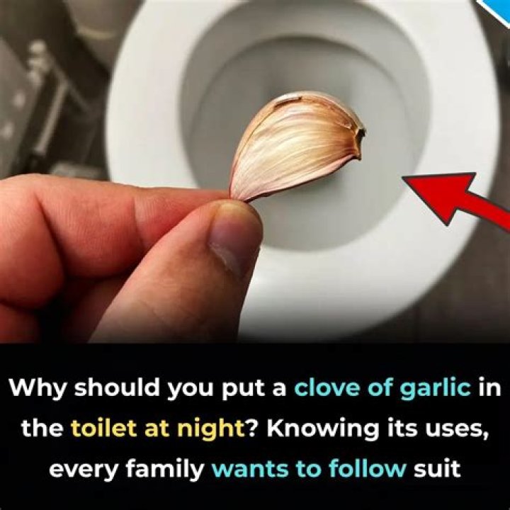 What happens when you put garlic in the toilet?
