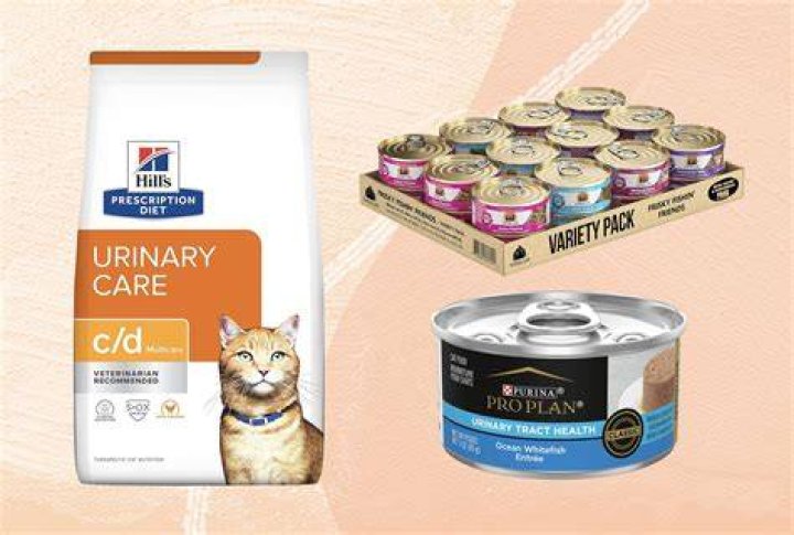 What ingredient in cat food causes urinary problems?