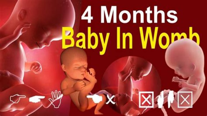 What is 24 months for a child?