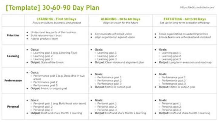 What is a 90 day action plan?