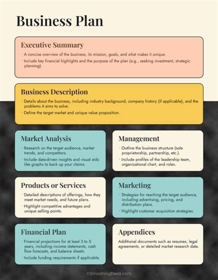 What is a business plan with example?