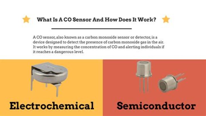 What is a co-worker?