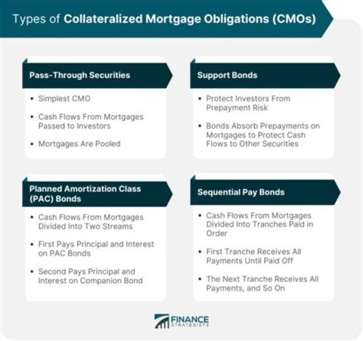 What is a collateralized mortgage obligation quizlet?