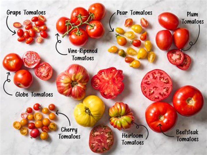 What is a fear of tomatoes called?