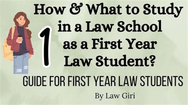 What is a first year law student called?